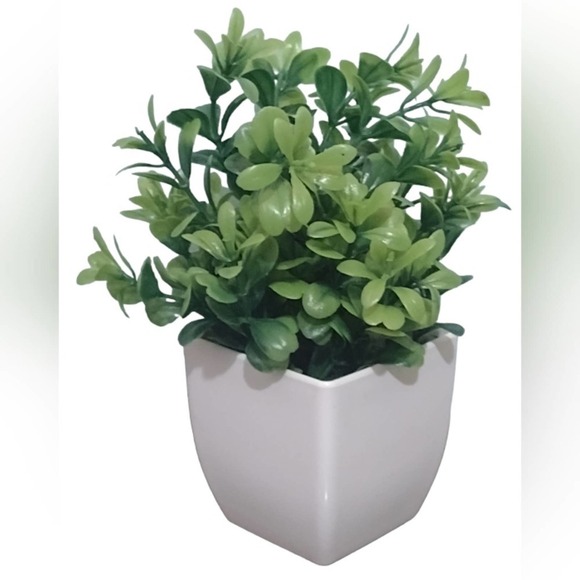 3 Artificial Plant Set Shelf Plants NEW Fake Plants White Planters SET - Picture 5 of 14